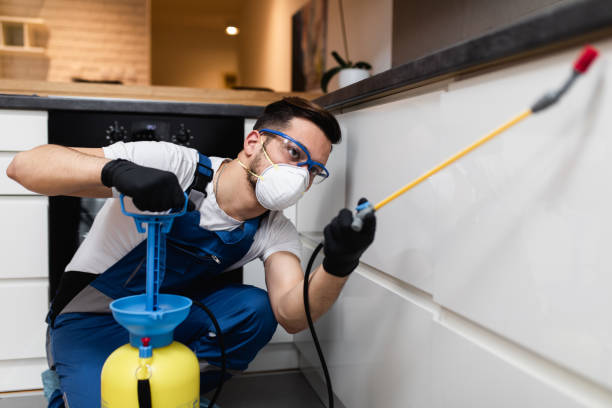 Best Wasp Removal Services  in Greenfield, IN