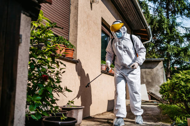 Best Rat Extermination Near Me  in Greenfield, IN