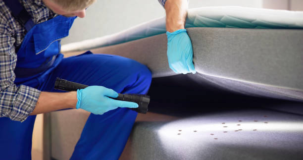 Best Local Pest Control Services  in Greenfield, IN