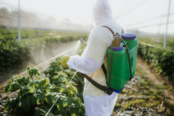 Best Ant Control Services  in Greenfield, IN